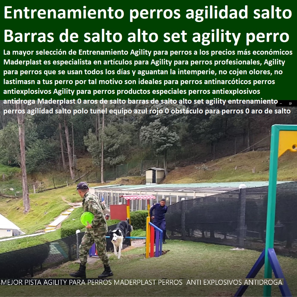 Agility Canino Circuito Entrenamiento de Perros Pista Adiestramientos perros Guías 0 barras Agility Circuito canino 0 Canes Guías Antiexplosivos Antidroga 0 agility perros bogota 0 clases de agility para perros 0 doberman perro policía 0 Agility Canino Circuito Entrenamiento de Perros Pista Adiestramientos perros Guías 0 barras Agility Circuito canino 0 Canes Guías Antiexplosivos Antidroga 0 agility perros bogota 0 clases de agility para perros 0 doberman perro policía 0